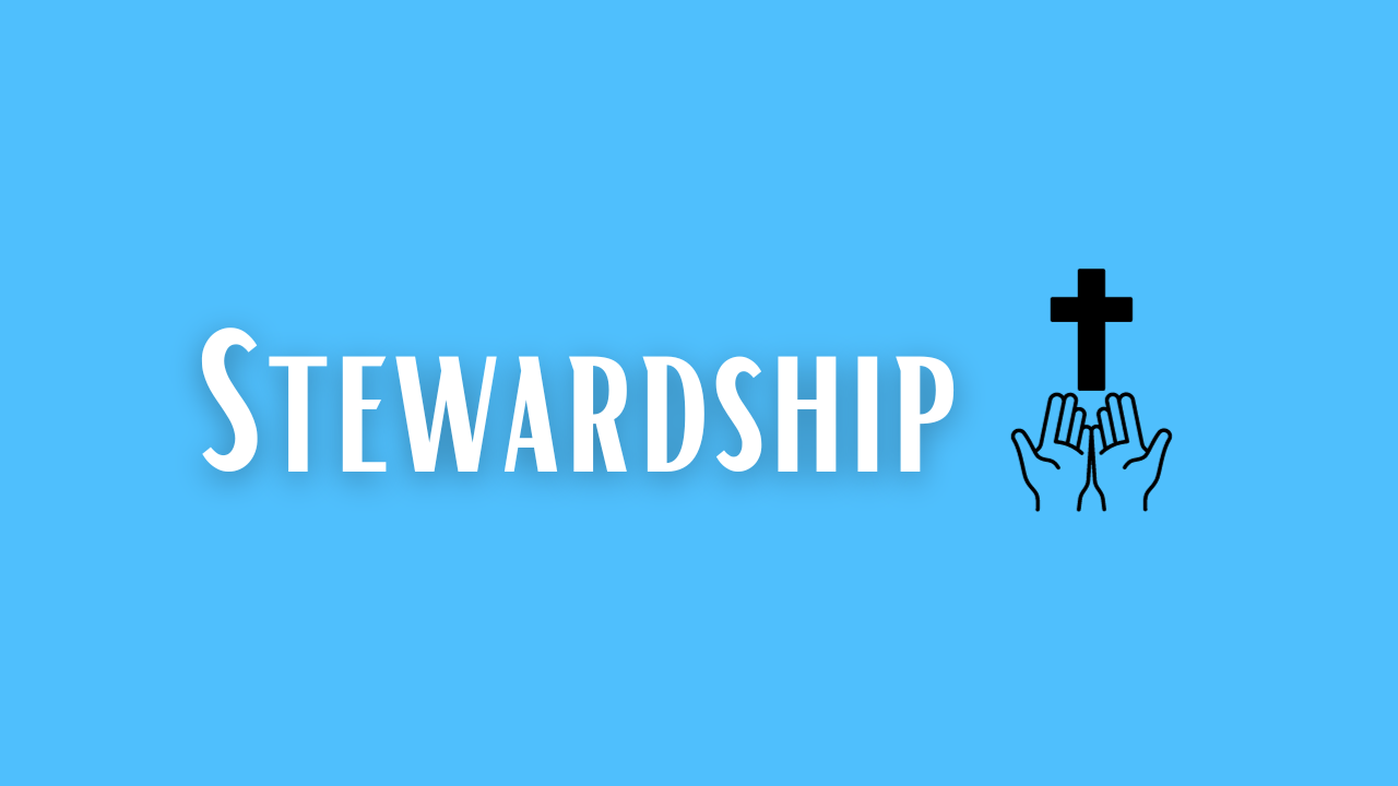 Stewardship MAT